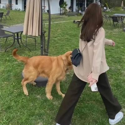 我妻子的罗曼史